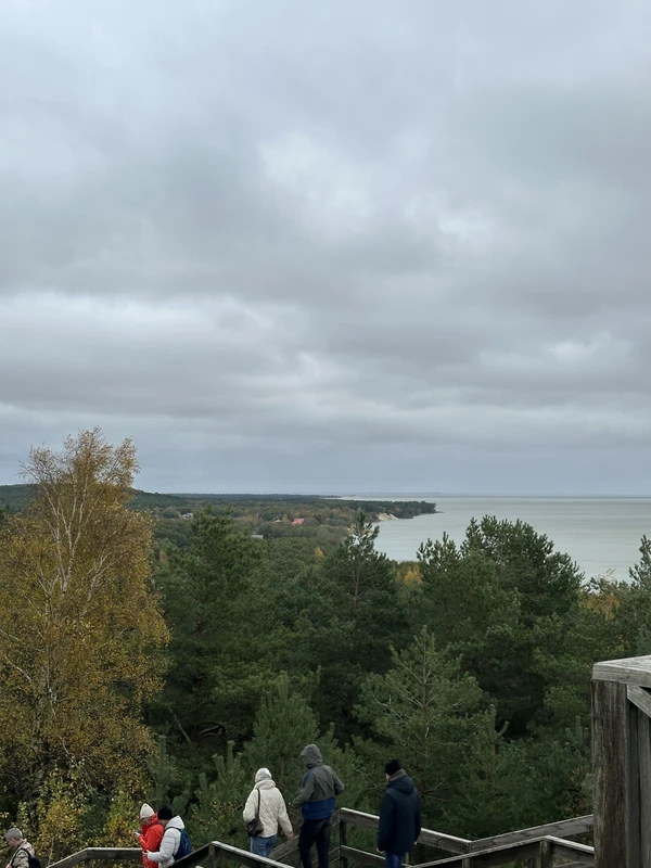 Вальс дюн в межсезонье: на Куршскую косу из Калининграда