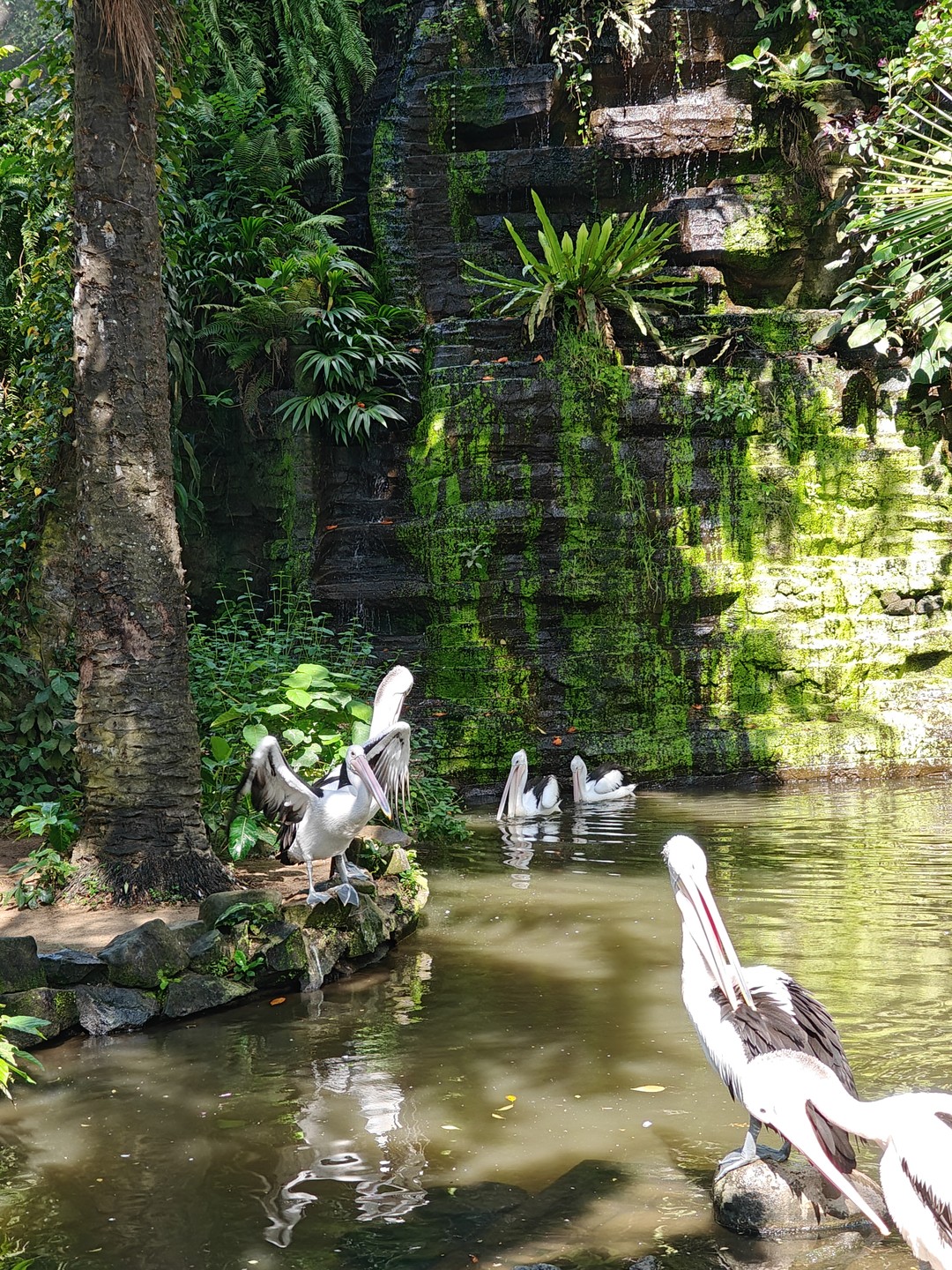 Обзорное путешествие по Бали (Ирина)