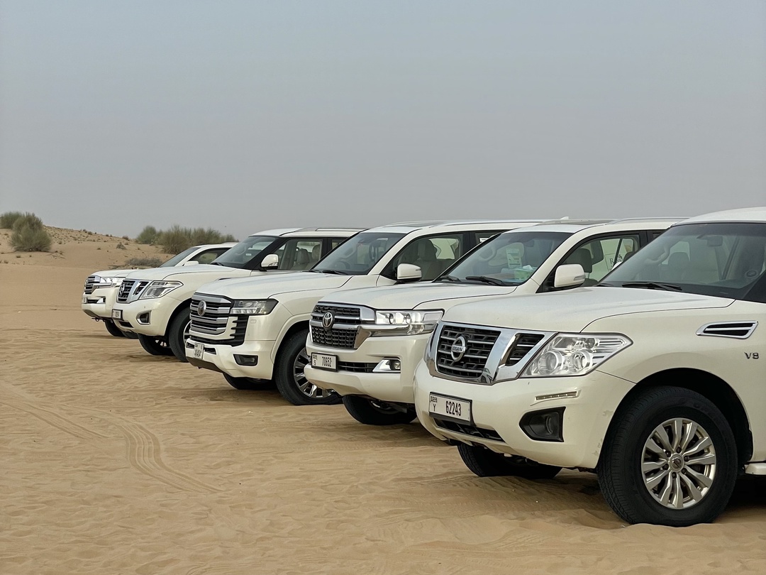 Индивидуальное сафари по дубайским дюнам (Катя)