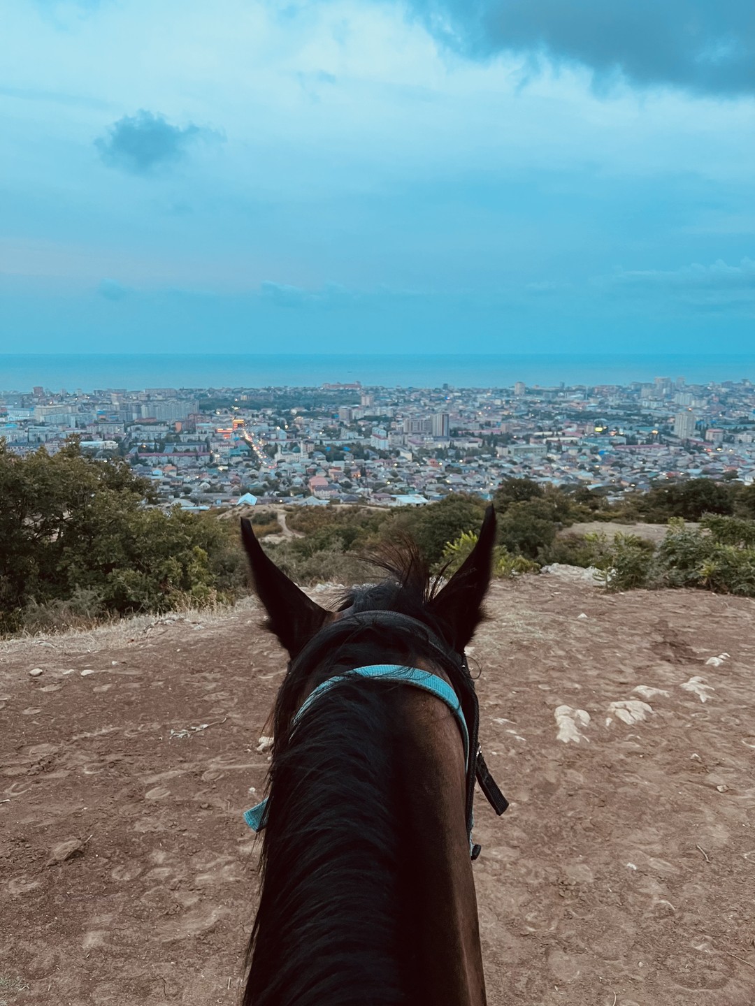 Мы идём с конём: прогулки на лошадях в Агачауле (Мария)