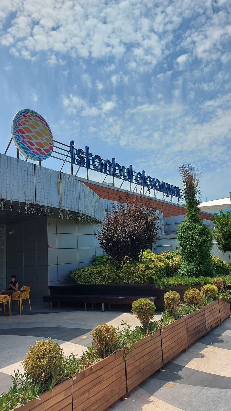 Были в июле в Стамбуле. Посетили данную экскурсию. Вопросов к организаторам в принципе нет, все понравилось