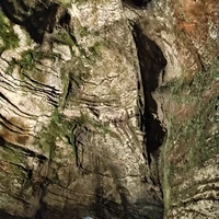 Фото отзыва 1: экскурсия "Поедем, поедим! Гастротур из Адлера"