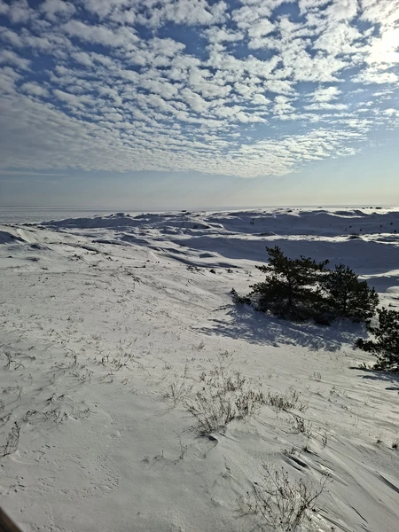 Отличная экскурсия с супергидом! Всё было объяснено максимально подробно и доступно. Узнала много интересного: от теории