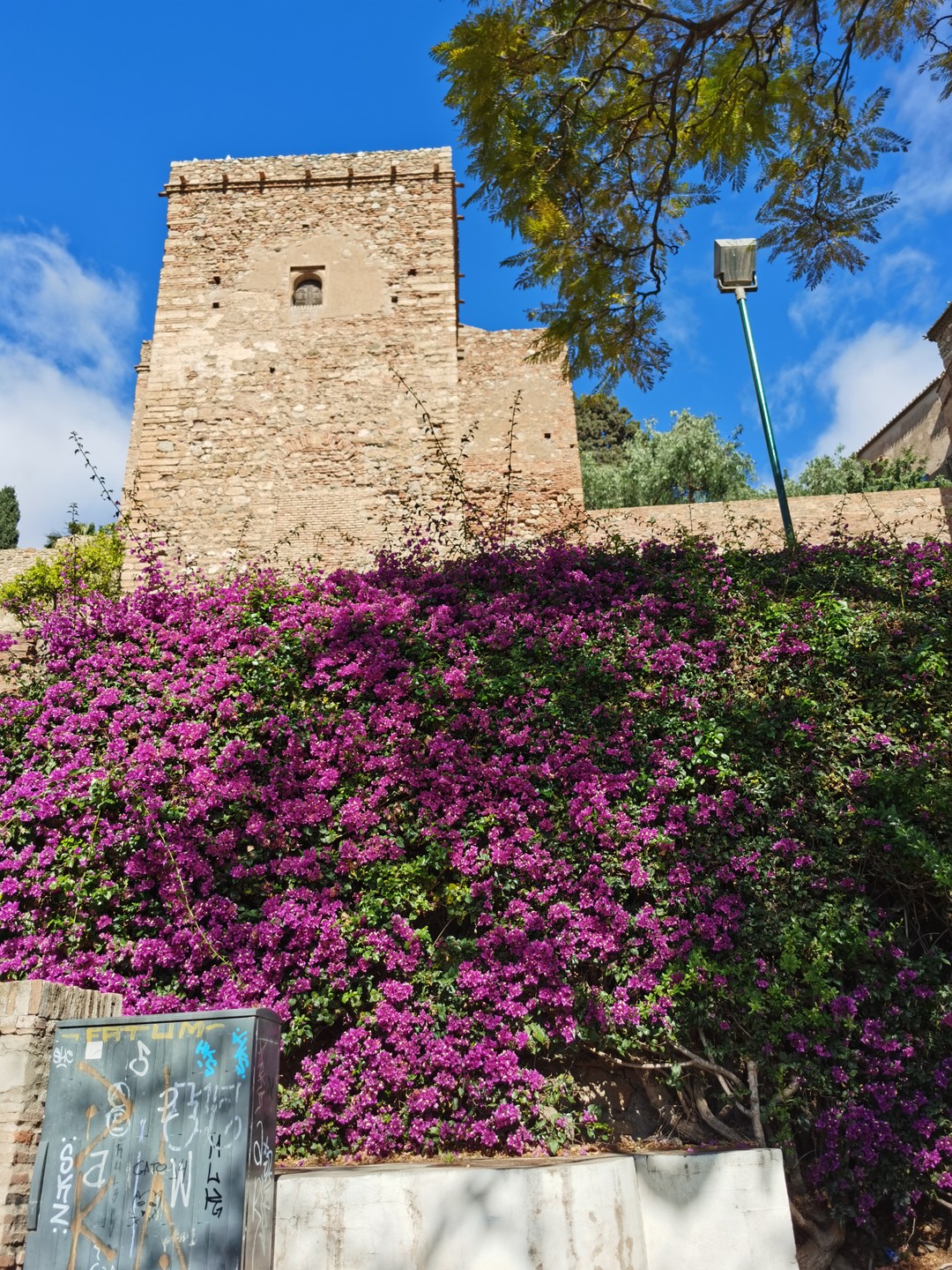 Пешком по Старой Малаге (Оксана)