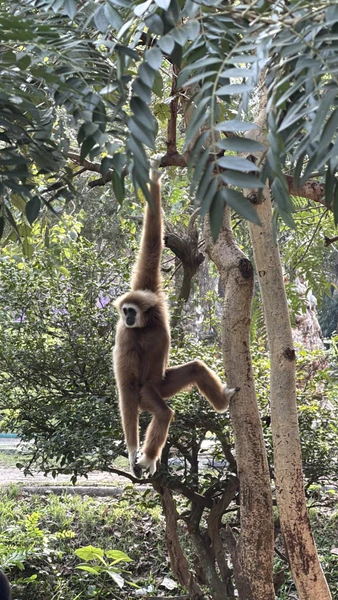 гид Виктор - просто пушка! знает языки всех животных 😂 поболтали со всеми животными и покормили. От плавающего слона - в полном шоке до сих пор)