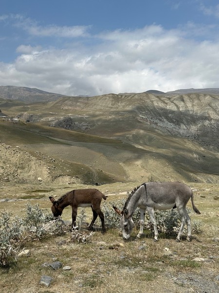 Не сомневайтесь! Это надо видеть своими глазами! От красоты дыхание перехватывает. Мы - любители гор и