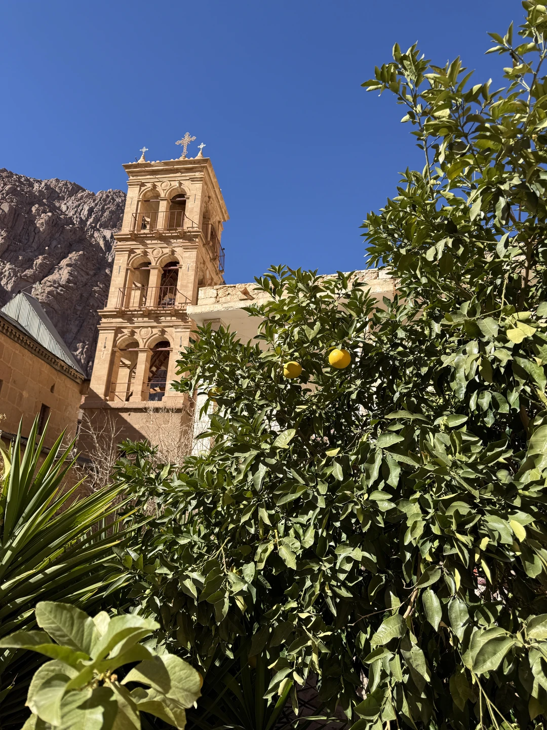 12-13.01.2026 года мы побывали в двух замечательных местах - на Горе Моисея и в Монастыре Святой