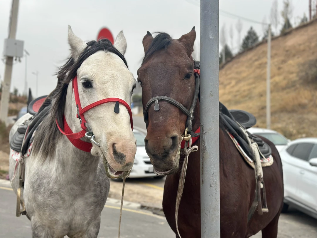 Отличная экскурсия!