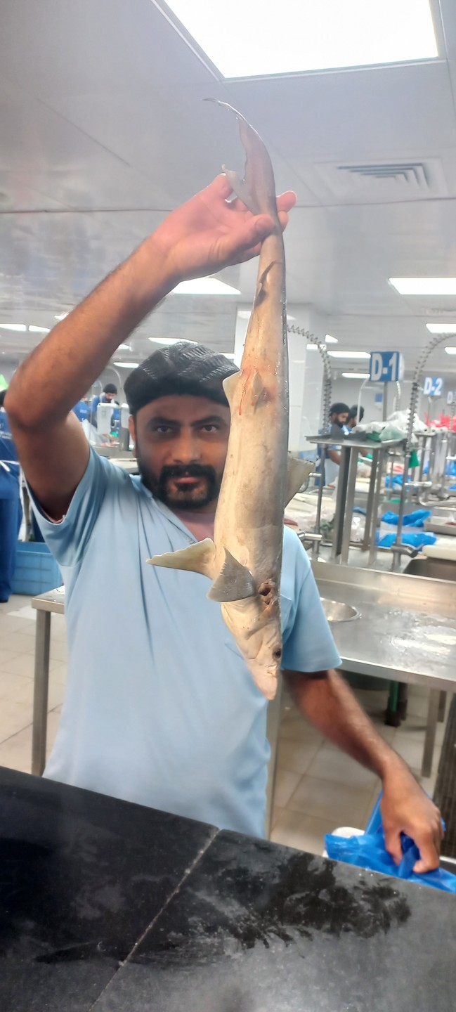 Тем кто хочет успешно начать путешествие в ОАЭ, выбирайте для трансфера до гостиницы предложение Дмитрия. Стоимость