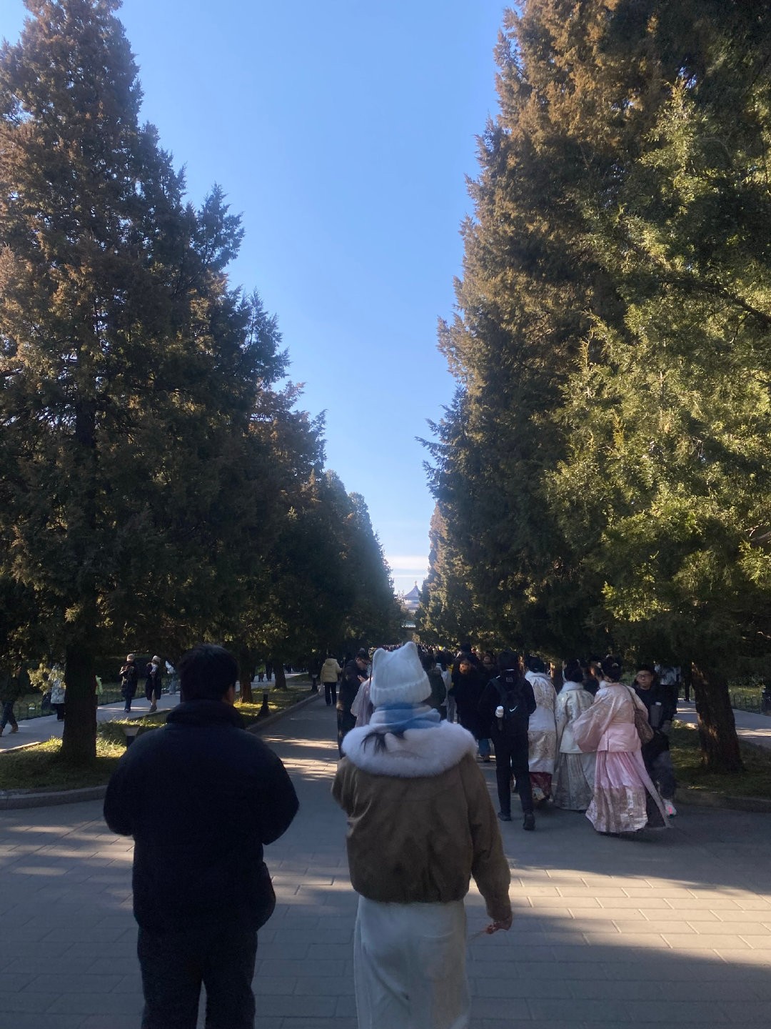 Обсуждали многое, а вся история и культура Китая сосредоточены в Пекинском дворце. Эти здания действительно очень