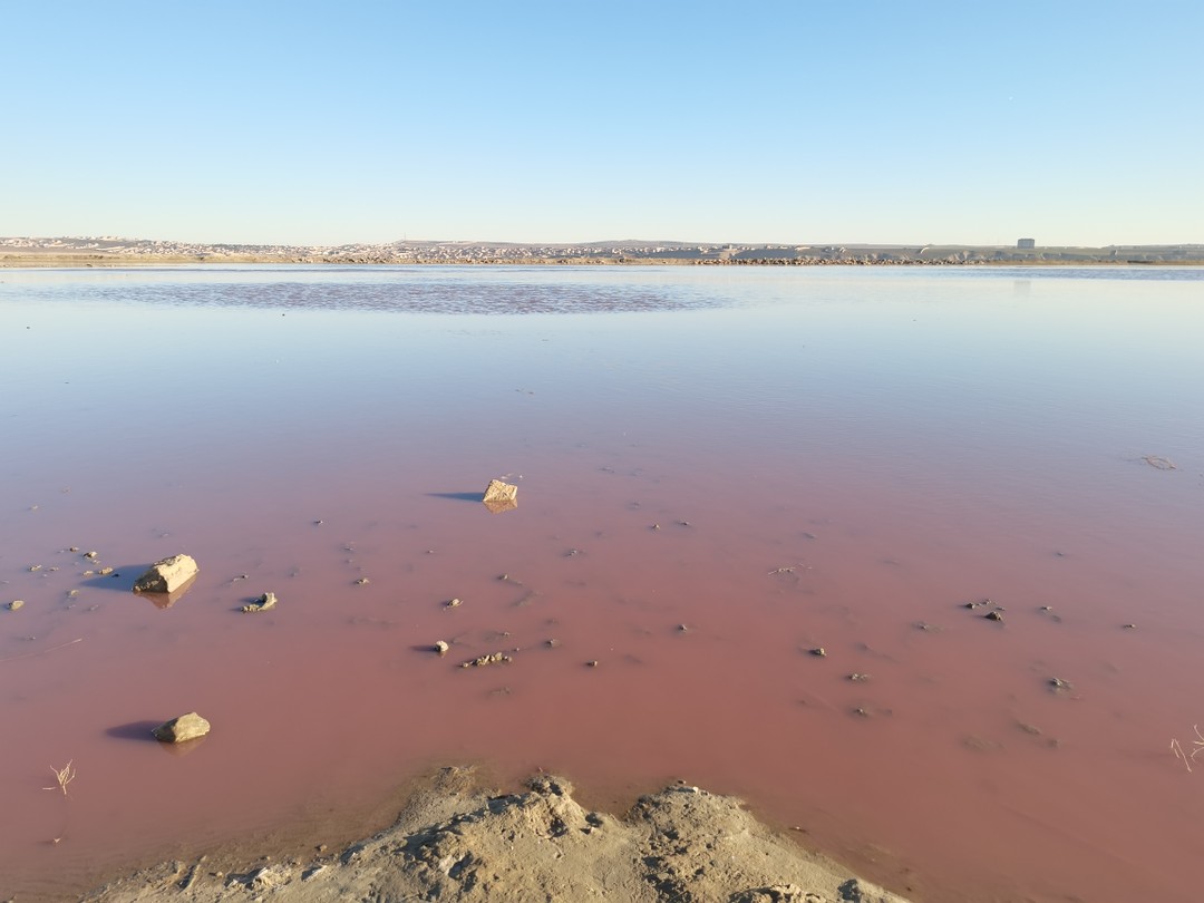 Очень понравилась экскурсия! Классный маршрут, такой только был у гида Октая. Октай воспитанный приятный молодой человек,