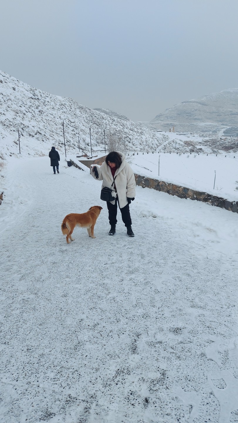 Были в Январе. Тепло и снежно. Экскурсия насыщенная. Все рассказали, вкусно накормили. Цены очень приемлемые. За