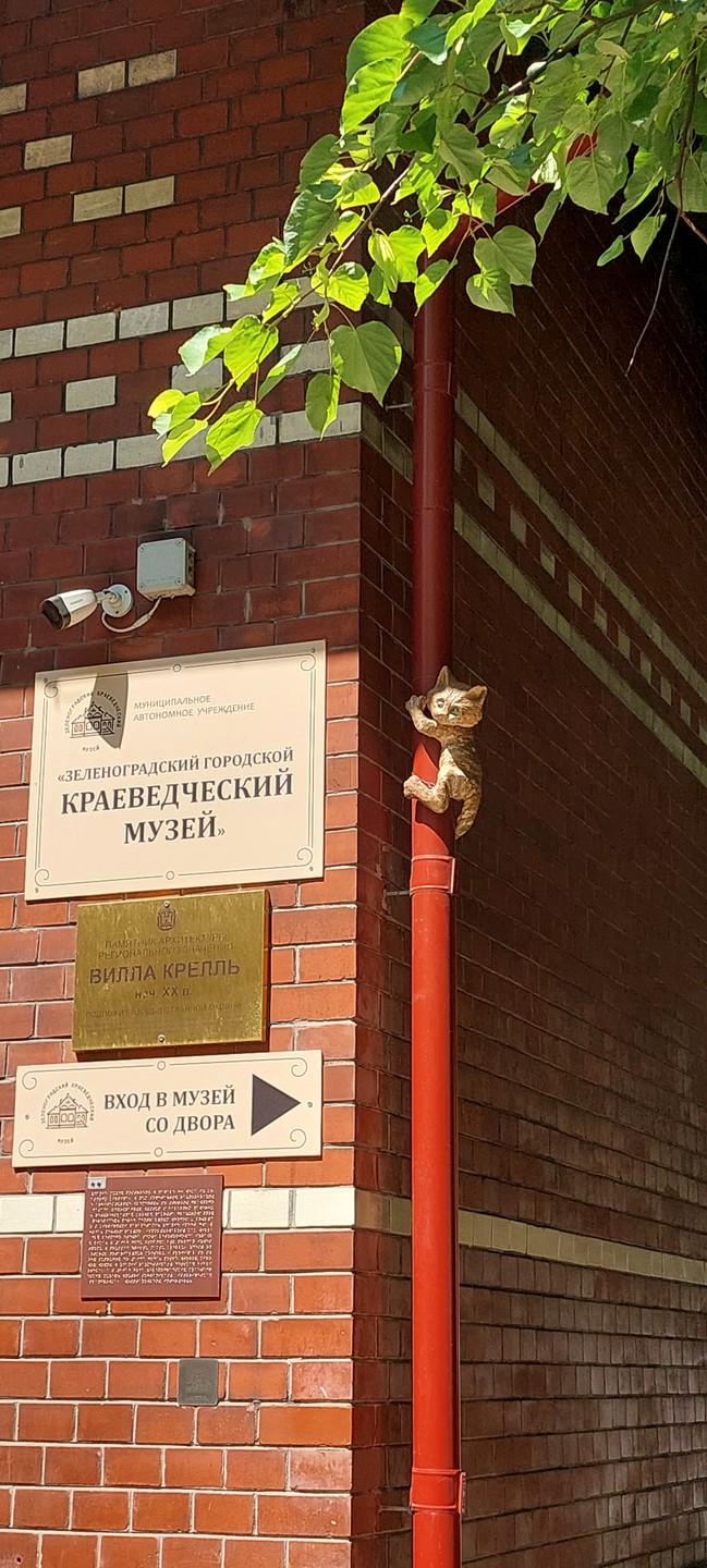 Утренняя Куршская коса, Зеленоградск и замок Нессельбек на автобусе (Наталья)