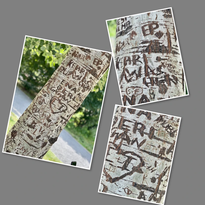 Людмила, спасибо Вам большое! Все было так как мы запланировали и хотели😁: интересно, легко, с вкусным