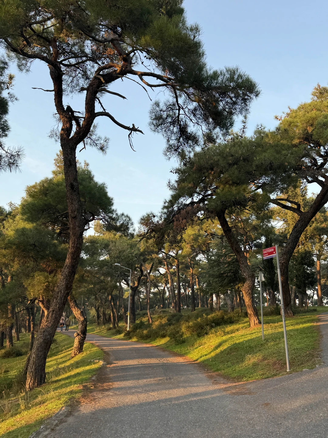 Были на экскурсии компанией друзей с детьми. Не заметили как пролетел день! Благодаря Лидии, Принцевы острова