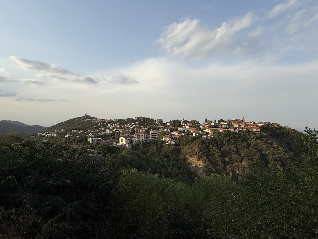 Гамарджоба, Кахетия, винный край (Вячеслав)
