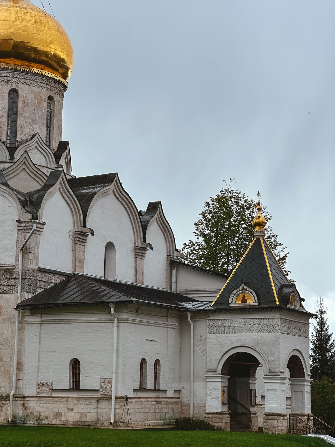 Мы в восторге! Захватывающая прогулка по городу и его окрестностям