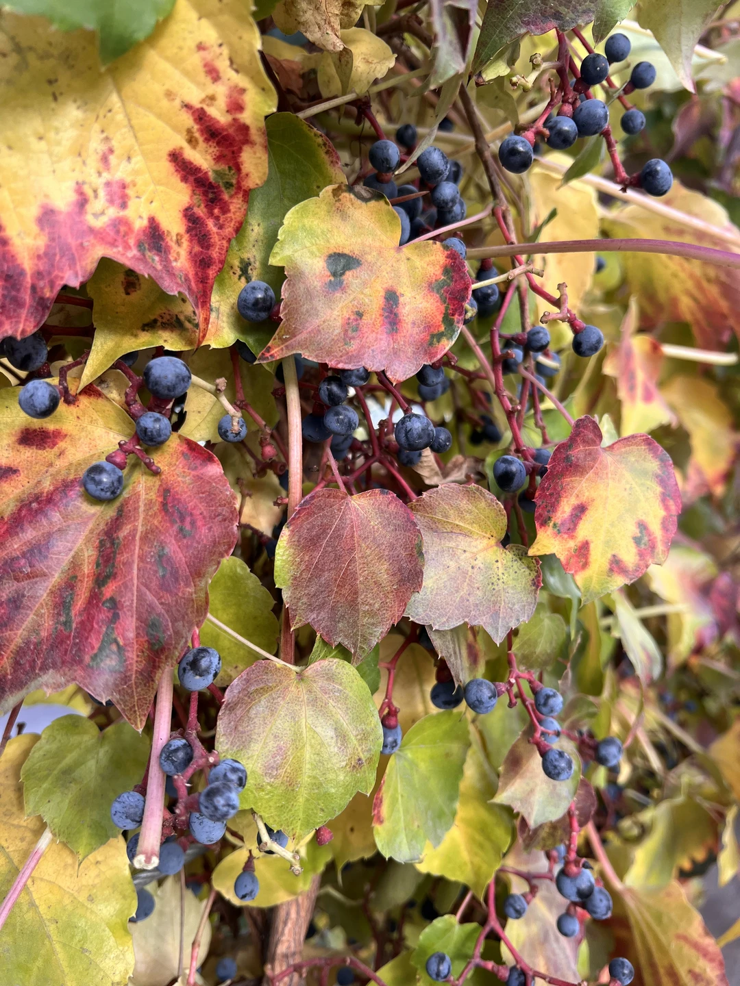 Была на экскурсии 17 ноября!