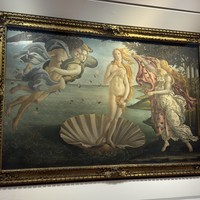 Фото отзыва 1: экскурсия "В Уффици о гениях и интригах итальянского Ренессанса"