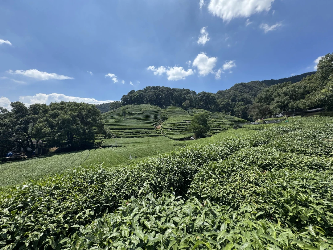 Сегодня я посетила прекрасный Ханчжоу