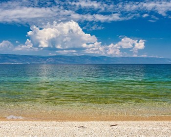 Тело в движении, душа в творчестве