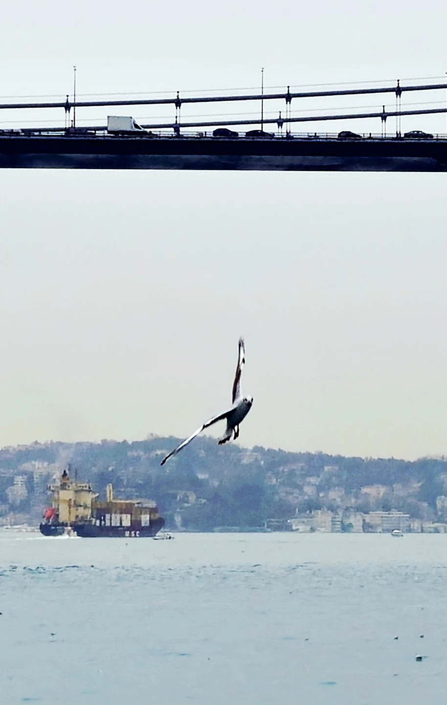 Знакомство со Стамбулом: Старый город + прогулка по Босфору (Александр)