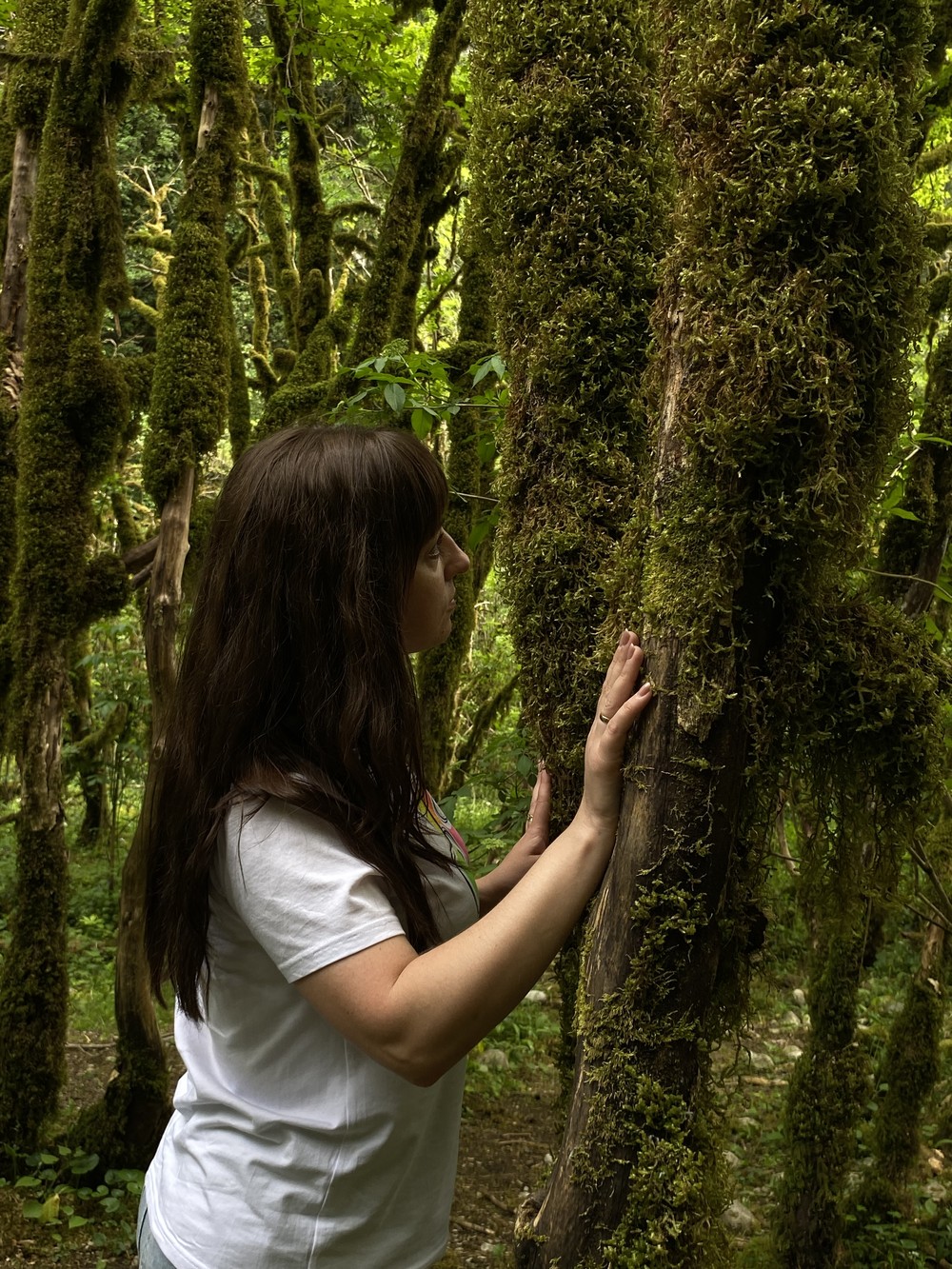 Абхазия в объективе: путешествие с мобильной фотосъёмкой (13/20)