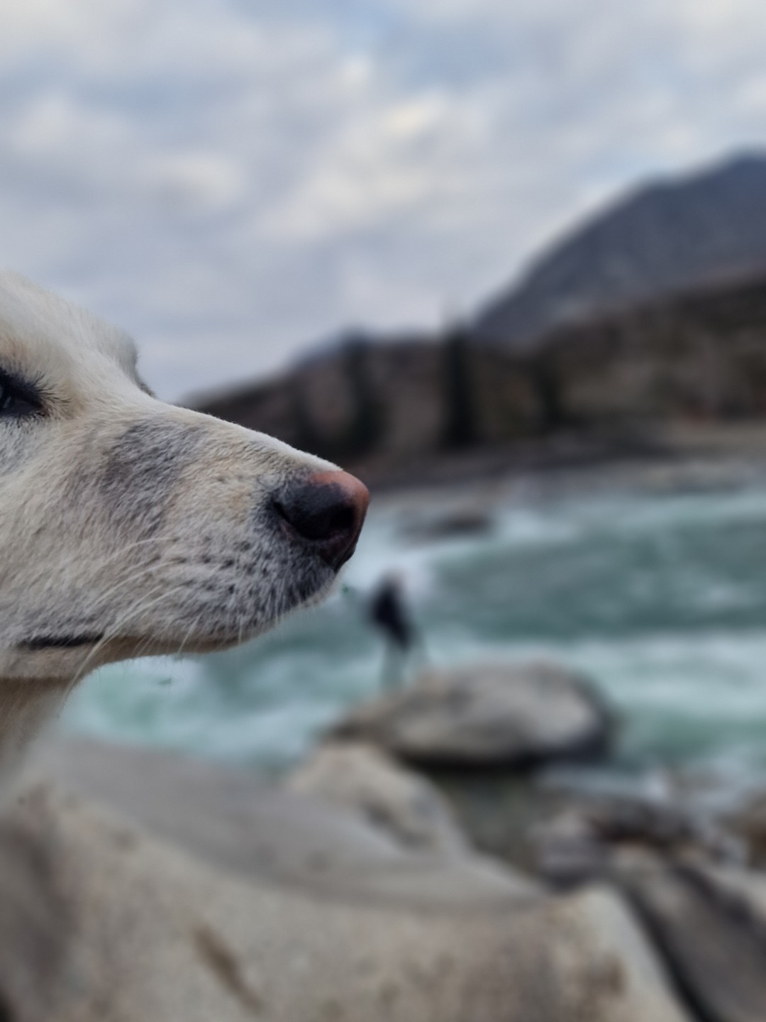 Осенний Алтай- вспоминаю, как будто побывали на другой планете. Для меня Чуйский тракт - это Катунь