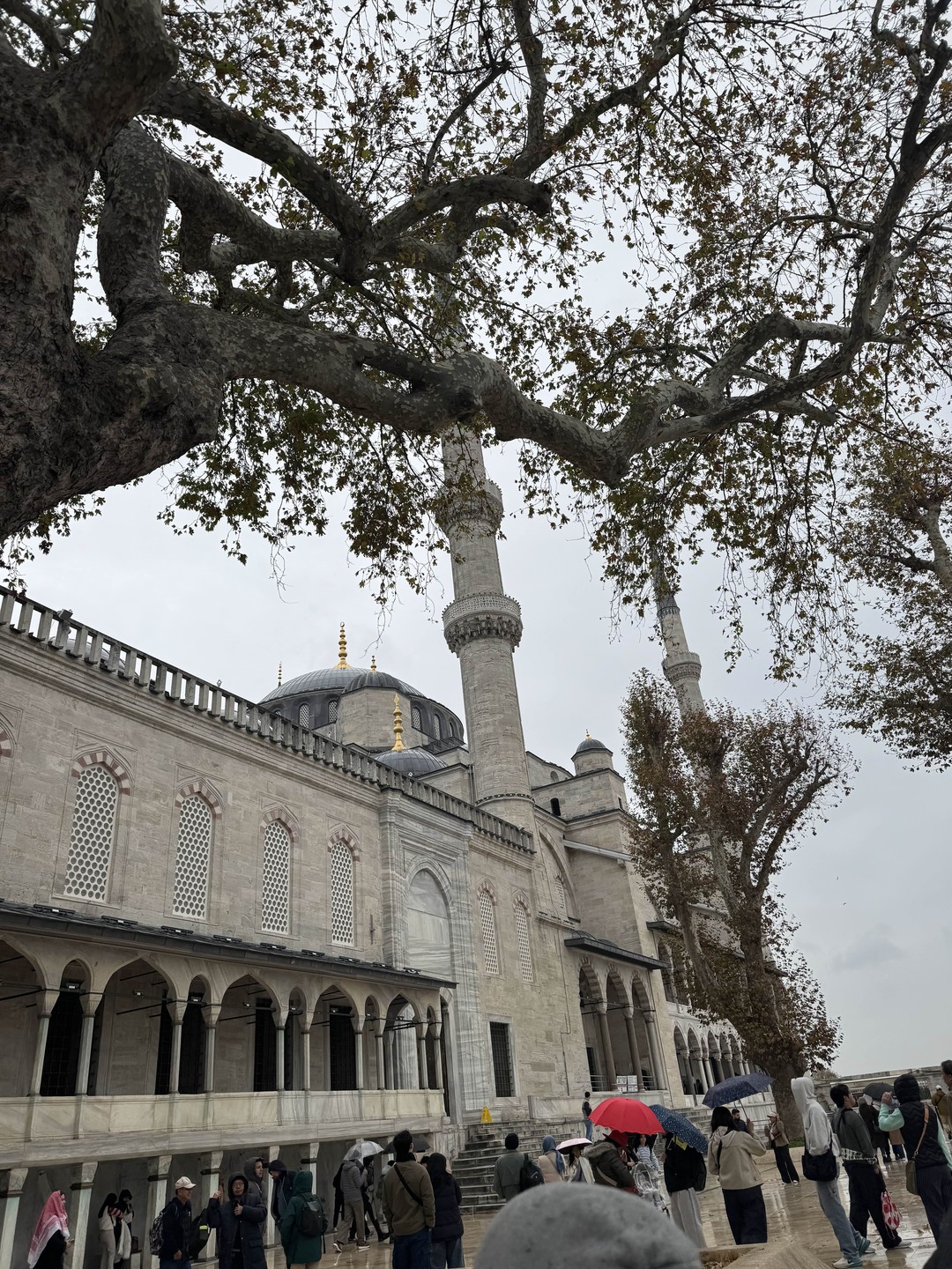 Экскурсию вел Атаджан — всё очень понравилось. Отлично говорит по-русски, объясняет понятно и интересно, на все вопросы подробно отвечал.