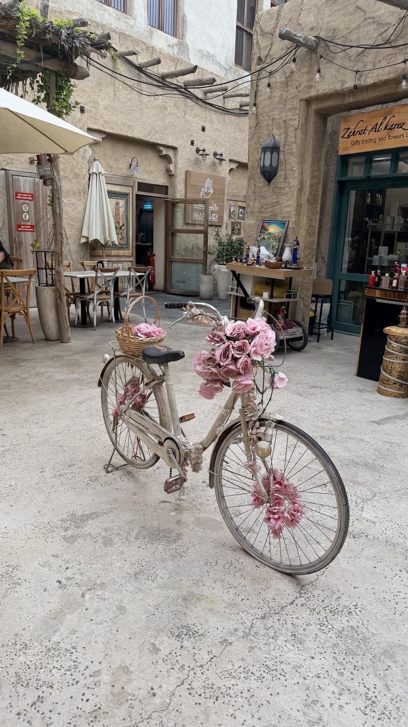 С Дубаем на «ты» (Полина)