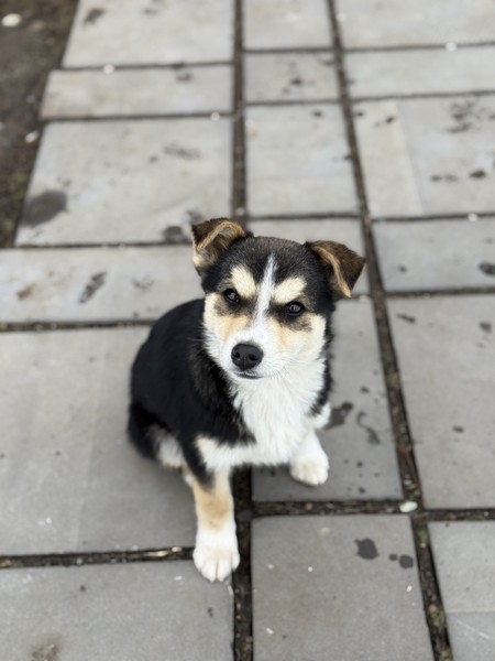 Великолепный гид, все действительно просто и с юмором, забрал из аэропорта, помог с обменником, познакомил с своей коллегой Жужей)