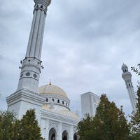 reviews img