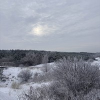Фото отзыва 1: экскурсия "Автобусная экскурсия «Куршская коса, Зеленоградск и семейная сыроварня»"