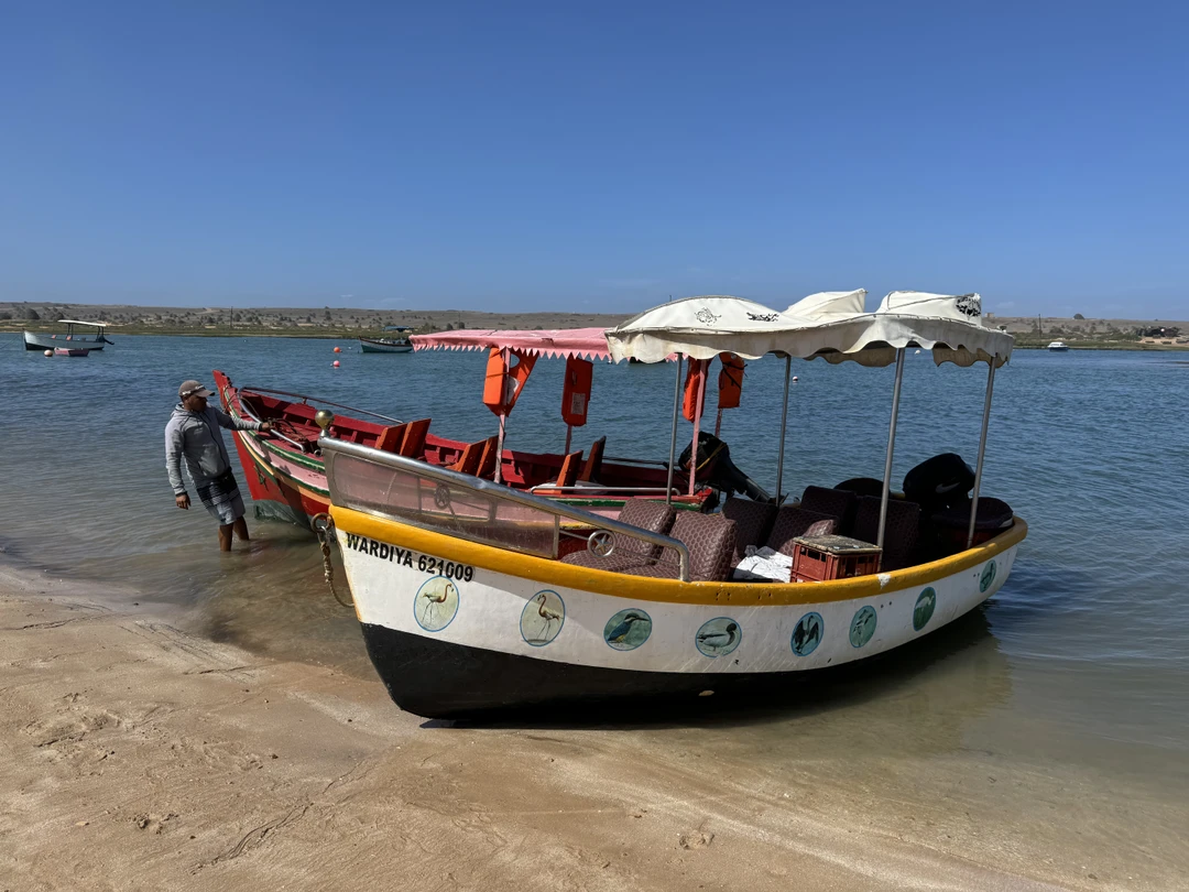 Секретная устричная ферма под Касабланкой (Елена)