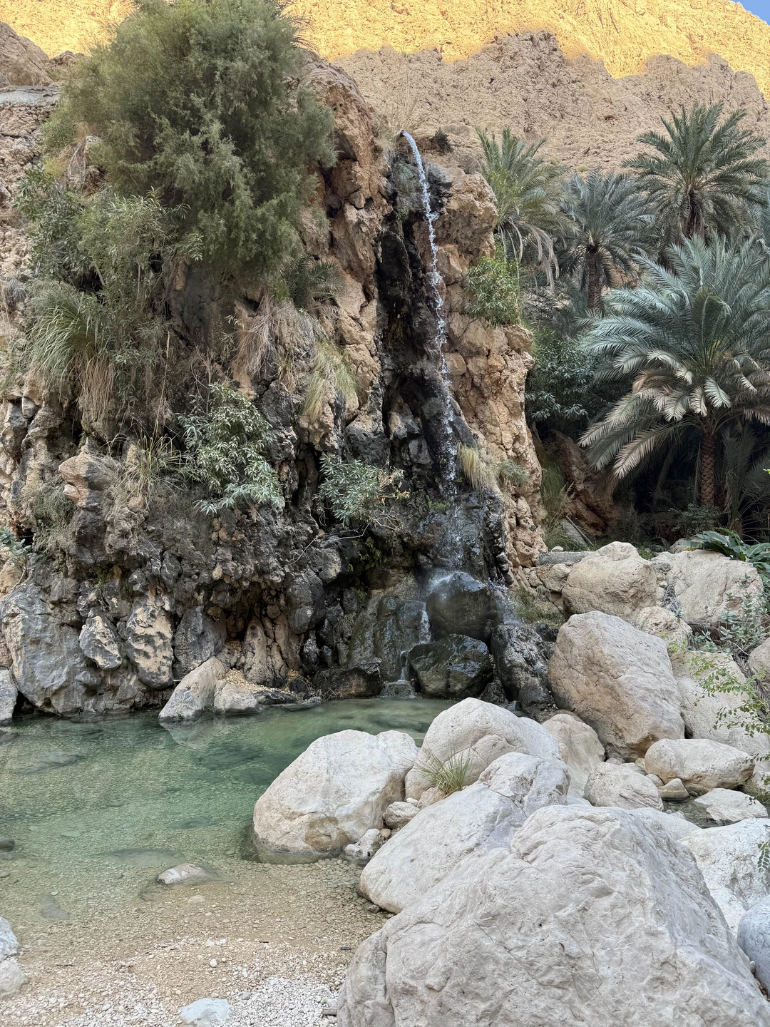 Экскурсия прошла на Ура! Огромное спасибо нашему гиду Айбару. Показал нам Маскат во всей красе, а