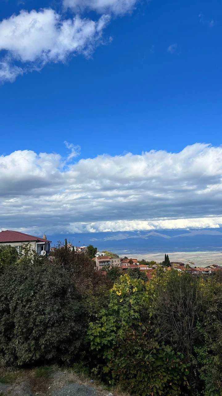 Отличная экскурсия! Она вышла как гастрономическое путешествие со всеми вытекающими! Лана великолепно все рассказывала, очень много