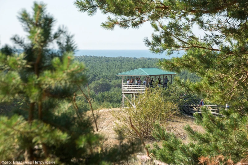 Куршская коса - природное чудо Балтики (из Калининграда)