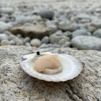 Фото отзыва 1: экскурсия "Полуостров Гамова и Кравцовские водопады"
