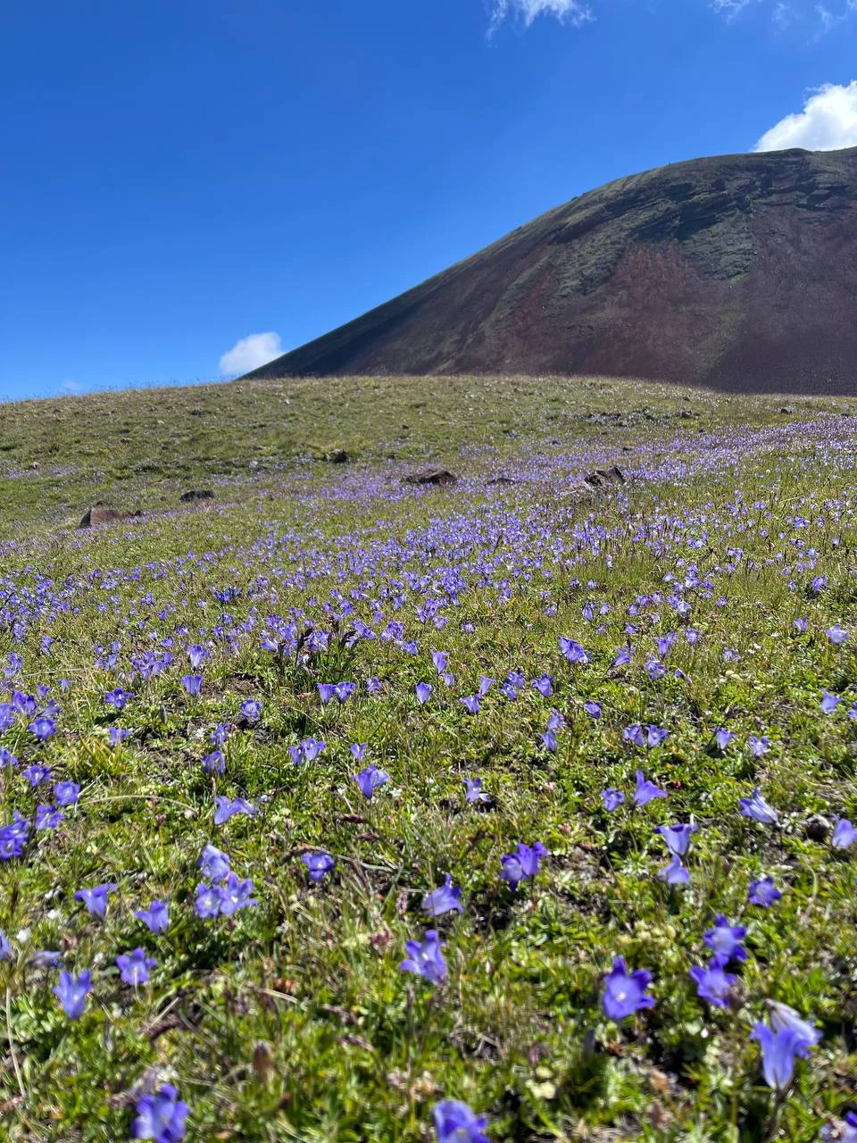 Нереальные эмоции! 🌋 Эта экскурсия — просто топ, однозначно рекомендую. Отдельное спасибо гиду Юлии — с