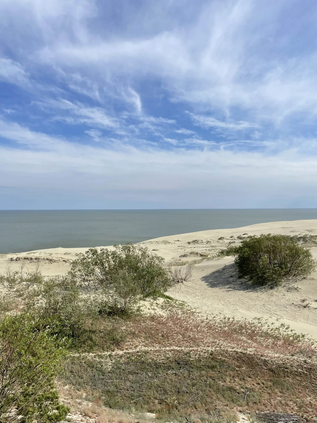 Базовая экскурсия на Косу. Интересно, познавательно. Особенно понравилась первая остановка на море у авандюны. К сожалению,