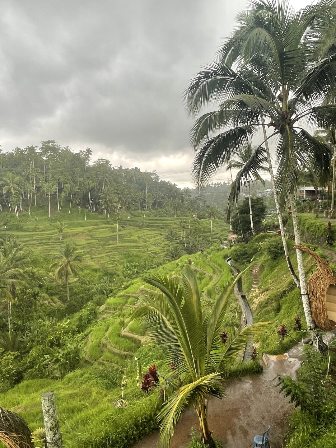 У меня была индивидуальная однодневная экскурсия с Вайаном и этот день оставил у меня массу позитивных