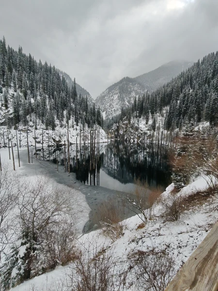Это было прекрасное путешествие. Невероятно красивые виды. Организация на высшем уровне, всё чётко спланировано. Отдельные спасибо