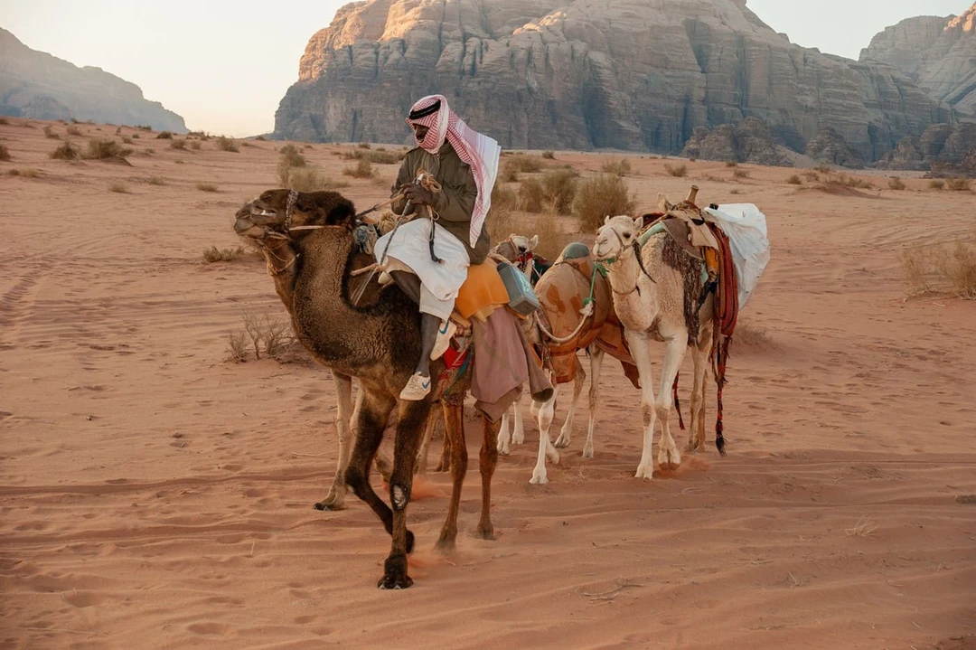 Кто такие бедуины Египта