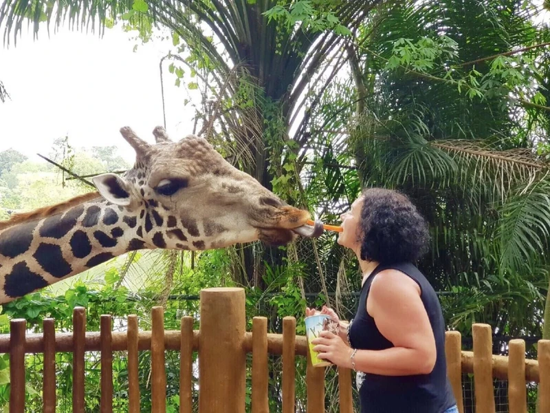 Большое приключение в Азии: Таиланд, Малайзия, Сингапур и пляжный отдых на Бали