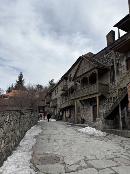 Мы провели невероятно крутой день с Тиграном. Я второй раз в Армении, влюбилась в нее еще