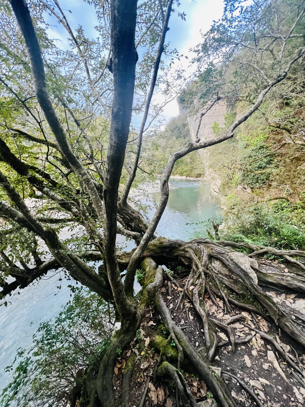 Фото Джип-тур по достопримечательностям горного Сочи