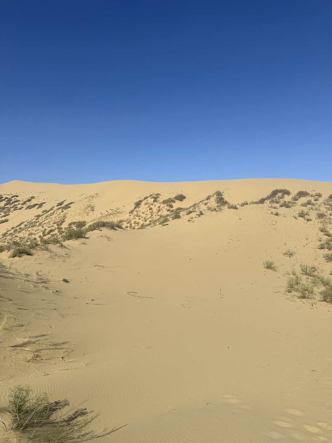 На отдыхе экскурсии выбираю всегда на Трипстере, потому что уверена что здесь самые лучшие гиды. Тимур