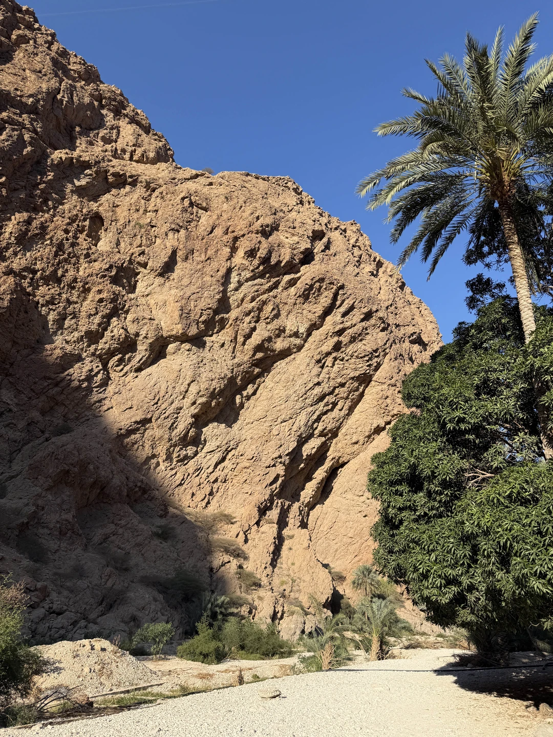 Экскурсия прошла на Ура! Огромное спасибо нашему гиду Айбару. Показал нам Маскат во всей красе, а