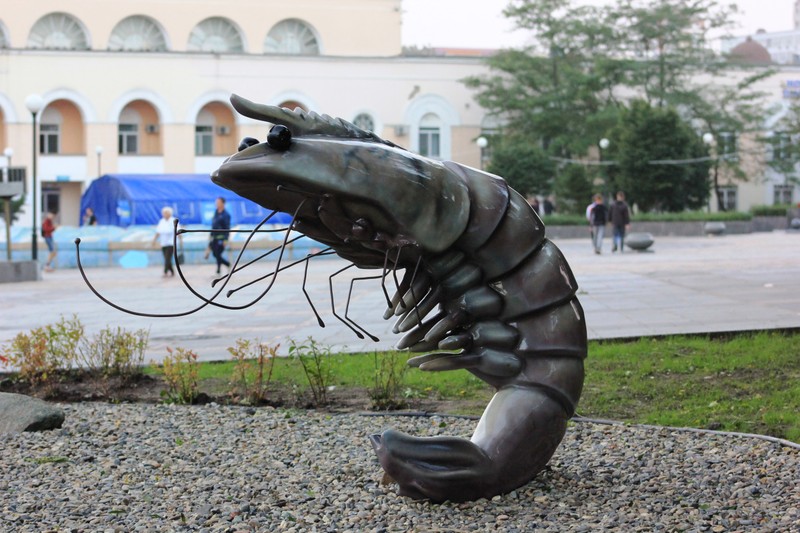 Прогулка со вкусом по Владивостоку