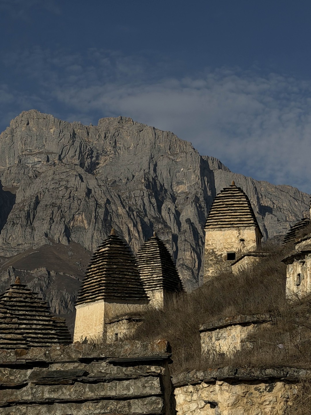 Если кратко - мы в восторге!